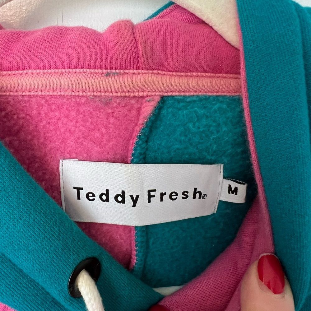 Teddy Fresh Color Block hoodie - Picture 5 of 6